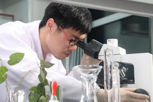 3.研发人员正在对药材进行研究