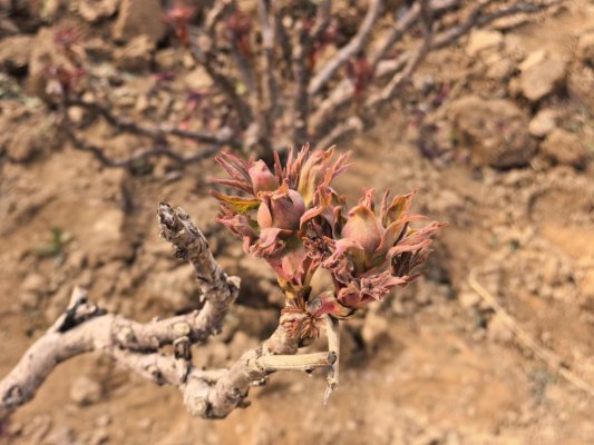 3ad5fb9c39a211a3ef23a640d62c3c0