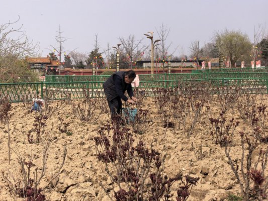 c6722a52822e6f949e92be05010adb6