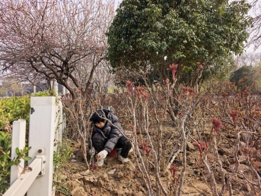 ed560ddae5fb903ec5daf2088d35eef