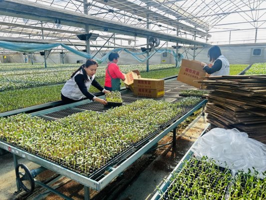 3809a41d6b671041acf938f605077f63