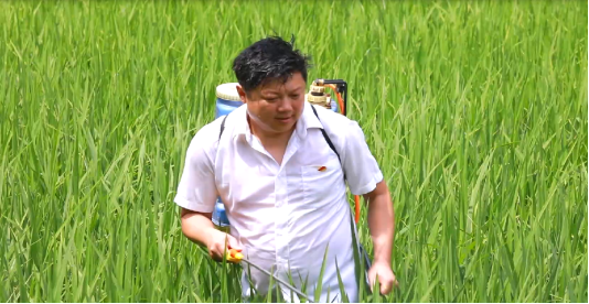 2657506485f6d6fea68507d704883d8