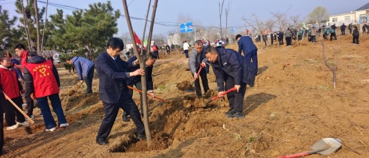 邮储银行临沂市蒙阴县支行积极参加全县义务植树活动