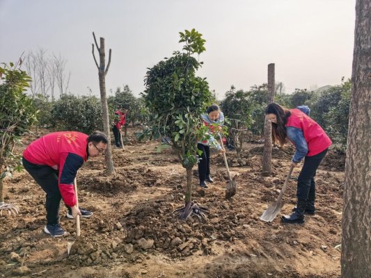 7087351fa1ab9523bbe843c9b78e0301