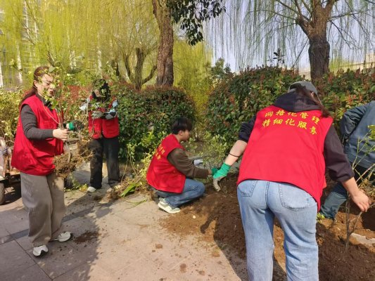 济宁市任城区李营街道苗营社区开展“不负春光添新绿”志愿服务活动