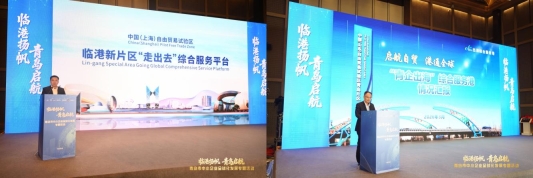 8.临港合自贸推介合