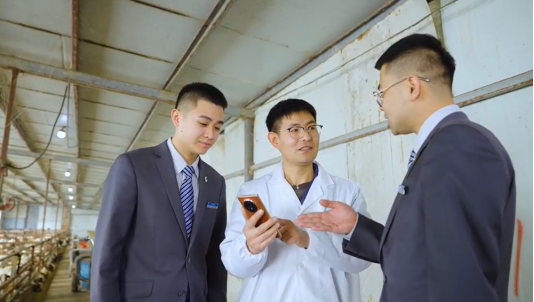 6ba955a6fd26a505050b4395791410ac