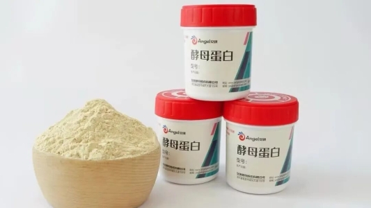 97f6a5e4874dbe639361e0234409a0f4