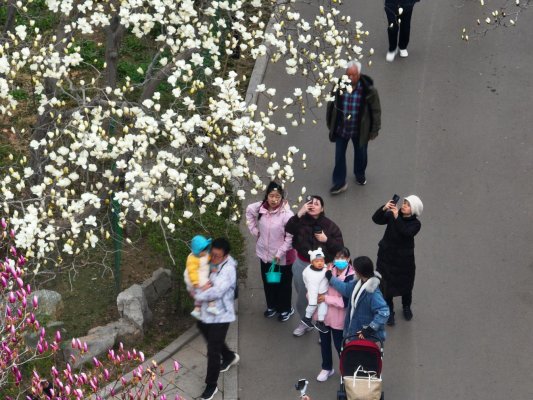 微信图片_20260314112039_366_43