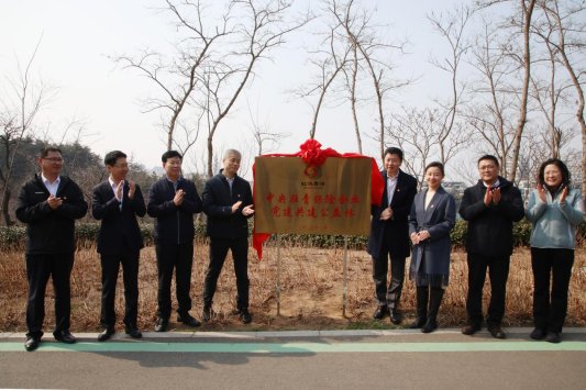 红心播绿意 共植青湾梦丨 中国人寿青岛市分公司组织参加公益植树活动