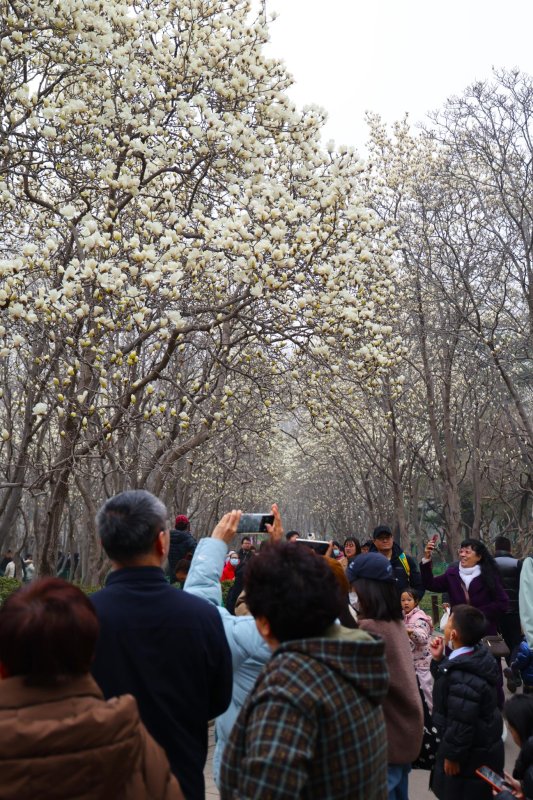 微信图片_20260314112138_375_43