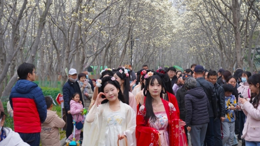 微信图片_20260314112037_365_43