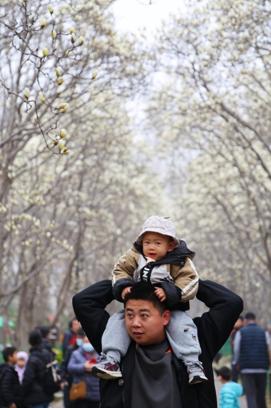 微信图片_20260314112101_371_43