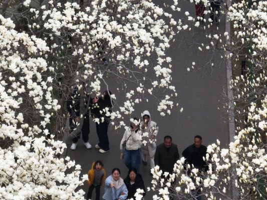 微信图片_20260314112040_367_43