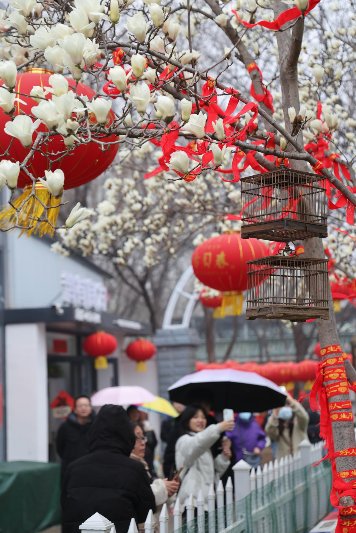 微信图片_20260314112213_379_43