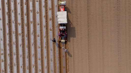 C:UsersAdministratorAppDataLocalTempHZ$D.618.3739HZ$D.618.3743六汪镇2026年3月春耕春耕2026-03-11 143125_1.23.1.jpg