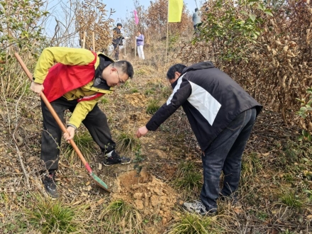 志愿者植树