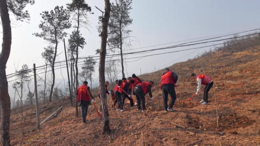 d27993c632d2e0fbba38ddb0927db8ba_origin(2)