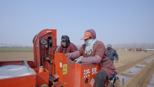 C:UsersAdministratorAppDataLocalTempHZ$D.618.3739HZ$D.618.3742六汪镇2026年3月春耕春耕2026-03-11 143125_1.17.1.jpg