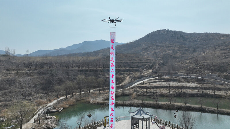 万亩杏花迎客!第二十三届杏花季启动仪式在济南长清张夏街道开幕