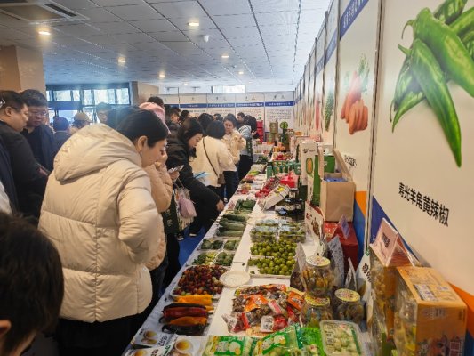 微信图片_20260319123135_1453_178