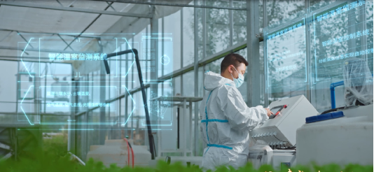 智能温室监测系统地应用,实现了作物生长条件的精准管理