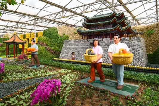 菜博会大型蔬菜景观5