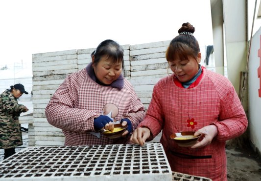 D:杨秀明20261.通讯3.13严把三关育壮苗南坪点种 (4).JPG