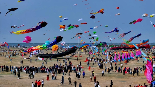 DJI_20250418105548_0146_D