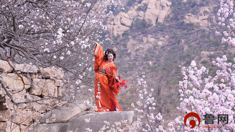 花漾山海春如许 日照邀君走花路“花漾日照”春季游,等您来!