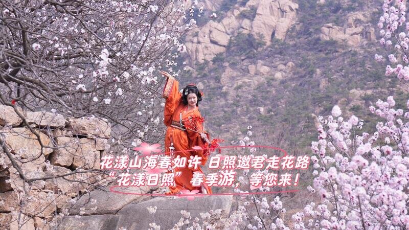 花漾山海春如许 日照邀君走花路“花漾日照”春季游,等您来!