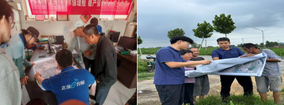 科技赋能精准服务 农险护航乡村振兴——中国太保产险青岛分公司扎实推进西海岸新区农业保险“双精准”工作落地见效见效