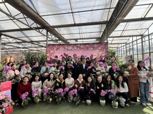 平安产险济宁中支:组织三八女神节插花活动