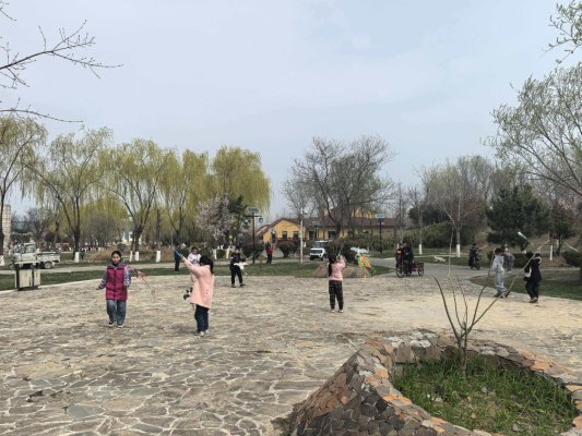 428dea952b917d60a2ef3400f10a55f1