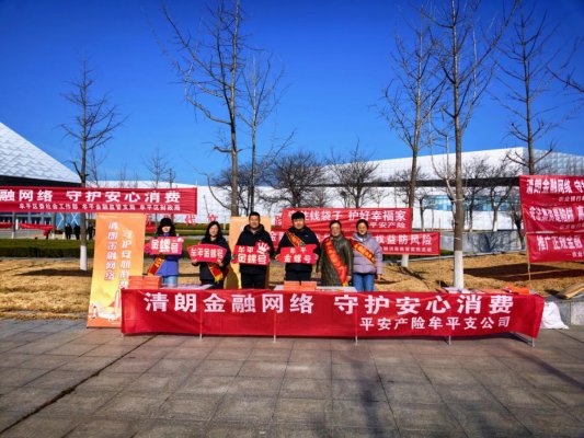 平安产险牟平支公司联合开展金融消保集中宣传活动