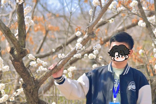 微信图片_20260325155648_438_66