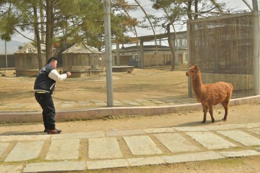 微信图片_20260325155643_435_66