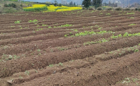 11023696270885725466