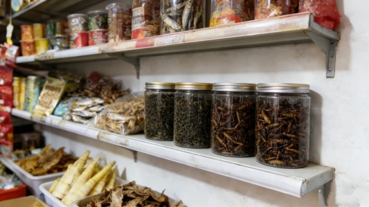 5572650055693335139(1)