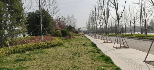 1c5be4af59982cb0a054b612f0524047