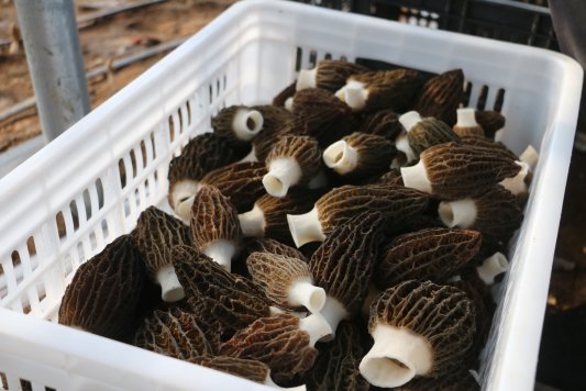 97b20f61951e1db80f78dcdaf11a99d4