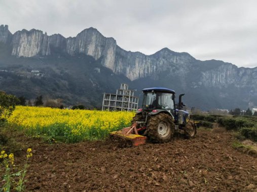 8415365585132200403(2)