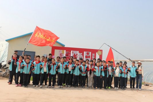 田间课堂趣无穷 ,劳动实践促成长 —— 济宁市任城区长沟镇张山小学举办西红柿研学之旅活动