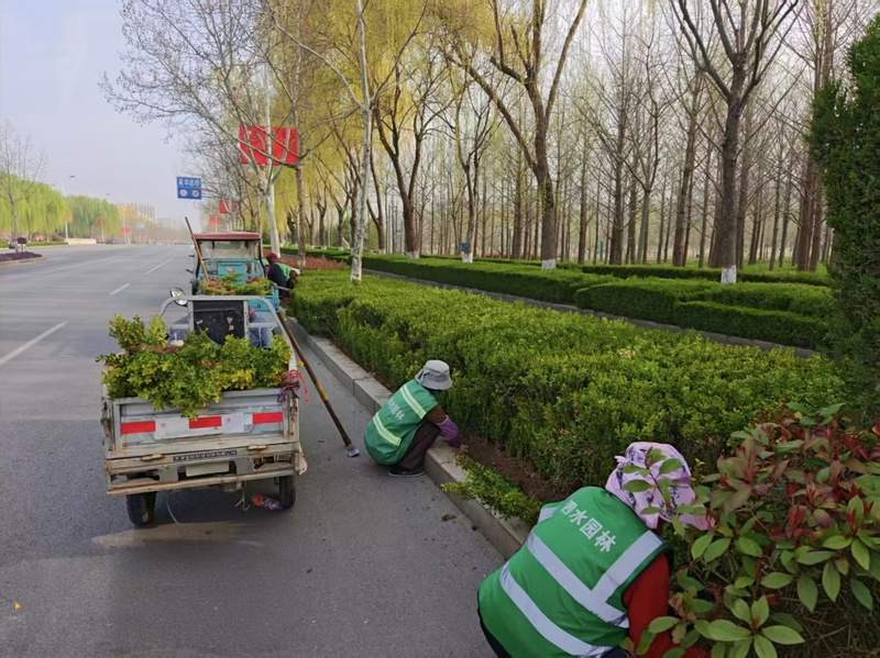 济宁市泗水县住建局:以精细养护,赴春日之约