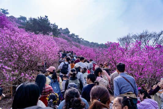 微信图片_2026-03-28_161939_398