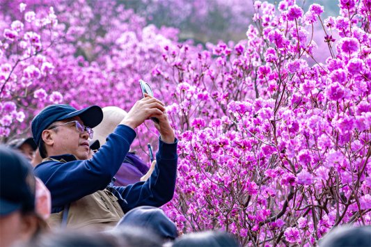 微信图片_2026-03-28_161944_746