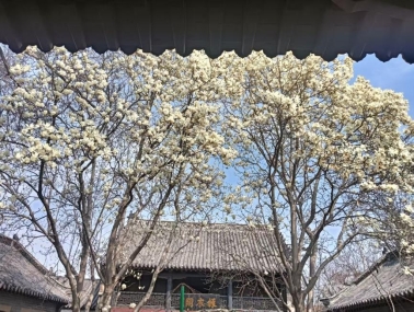 d1802fb5e4dbb4c578a9391568f92f88