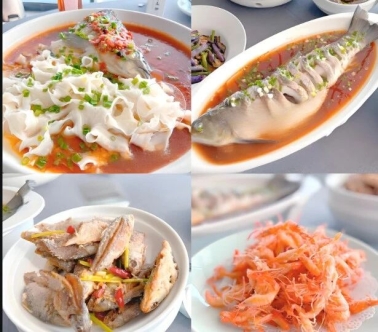 31b01a3b6fac6bf9452f90dcfddced71