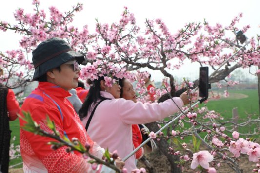 d4dab3ee8ddabe84bab541af499435b2