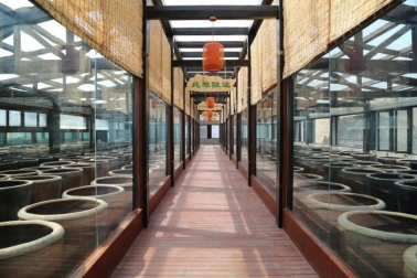 2a9529e7d86a69fdf2c49901c3c2c01e